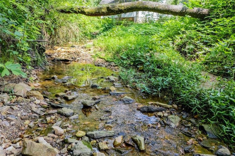 Natural landscape and outdoor views near  in Bowdon (Image 27).