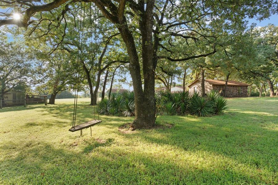 Natural landscape and outdoor views near in Alvarado (Image 30). Natural landscape and outdoor views near in Alvarado (Image 30).