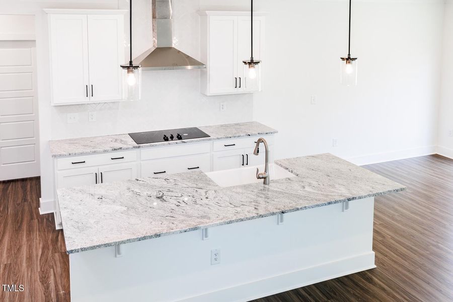 RDU_PreserveatReedyCreek_Lot65_Voyageur_