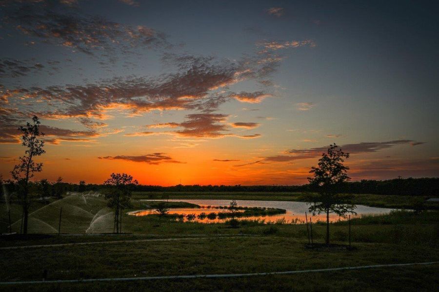 Goodnight Ranch pond