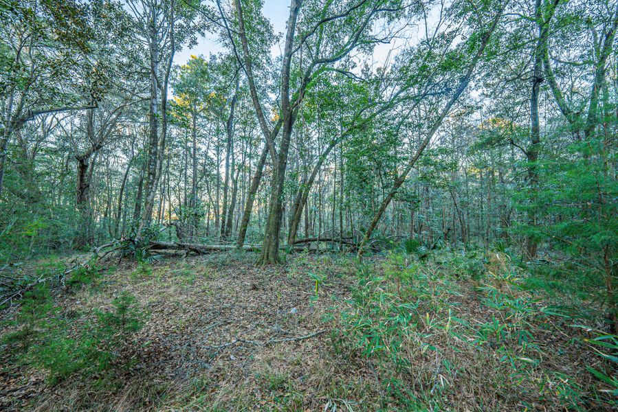 Natural landscape and outdoor views near in Dorchester (Image 22). Natural landscape and outdoor views near in Dorchester (Image 22).