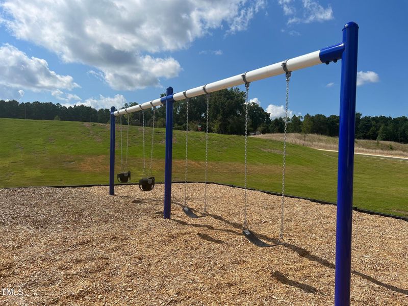 78N playground swings