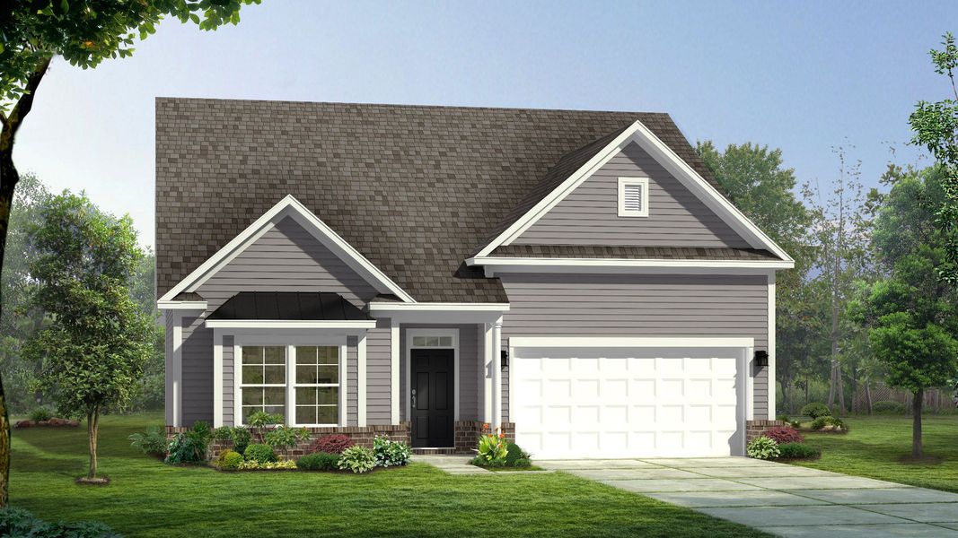 Cooper 3 - Elevation 4