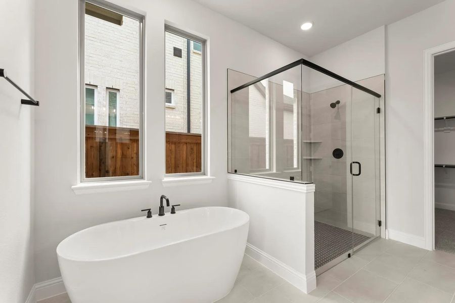Albert II D Primary Bath