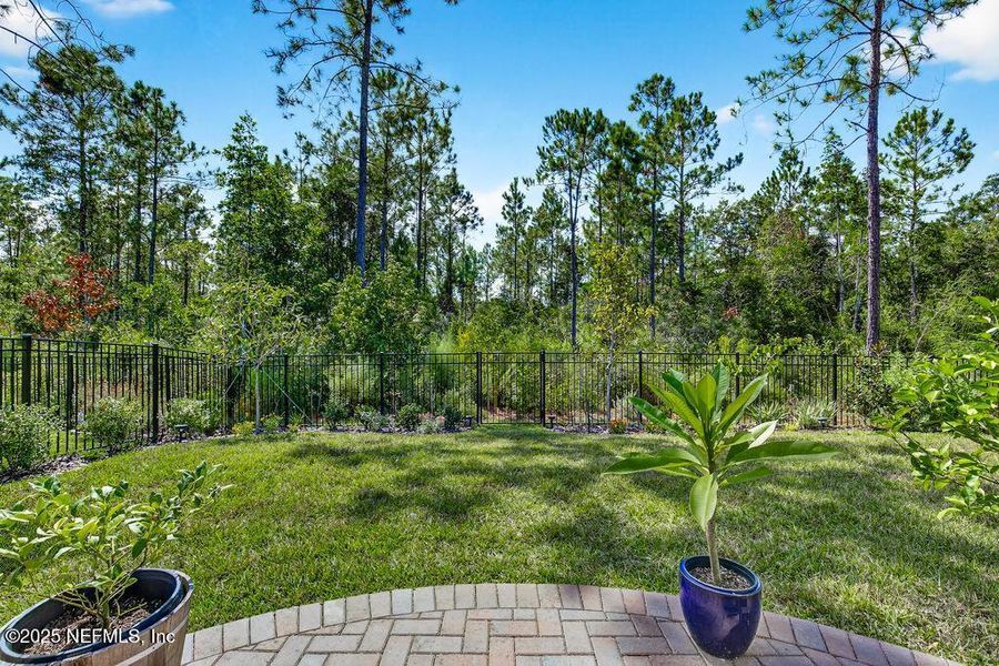 Natural landscape and outdoor views near  in Yulee (Image 28).