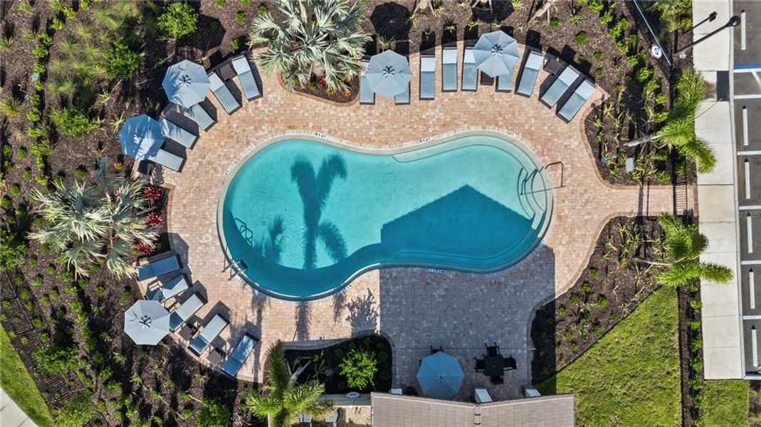 Community amenities in Star Farms at Lakewood Ranch, Bradenton (Image 30).