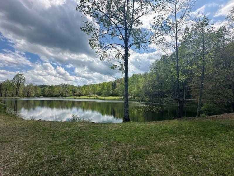 Natural landscape and outdoor views near in Clarkesville (Image 20). Natural landscape and outdoor views near in Clarkesville (Image 20).