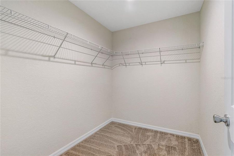 Spacious, unfurnished interior of a new home in , Edgewater (Image 23).