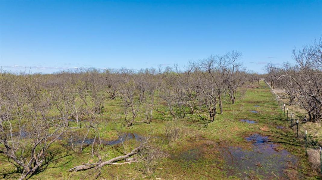 Natural landscape and outdoor views near  in Early (Image 29).