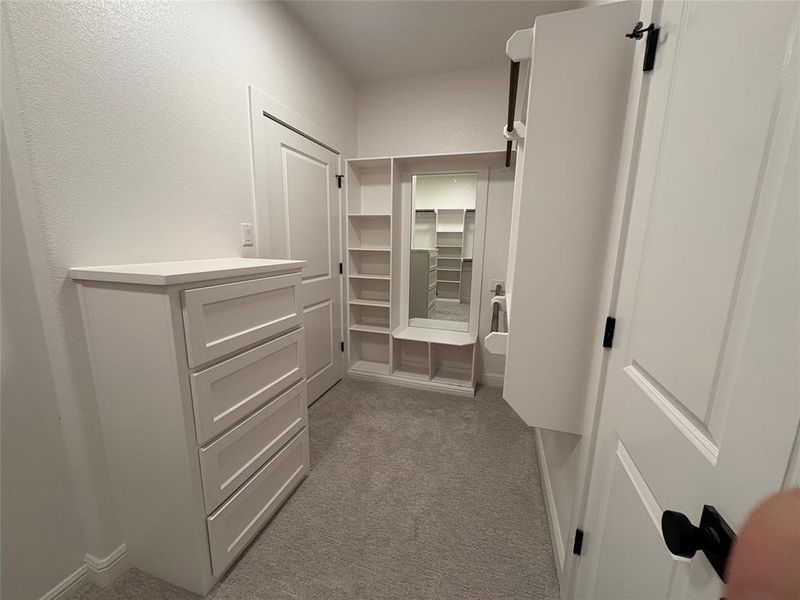 Walk in closet featuring light colored carpet