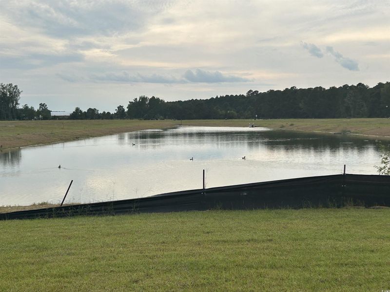 Water​​‌​​​​‌​​‌‌​​‌​​​‌‌​​‌​​‌​​​‌​‌​​‌‌​​​​ view