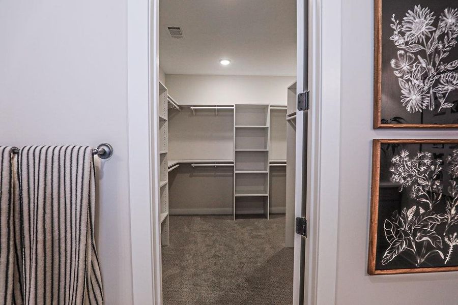 Walk in closet with dark carpet