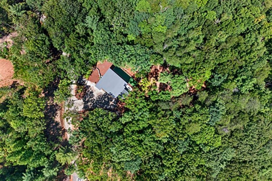 Natural landscape and outdoor views near  in Blue Ridge (Image 38).