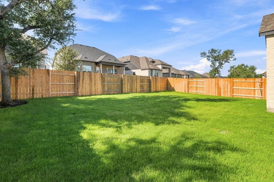 Backyard