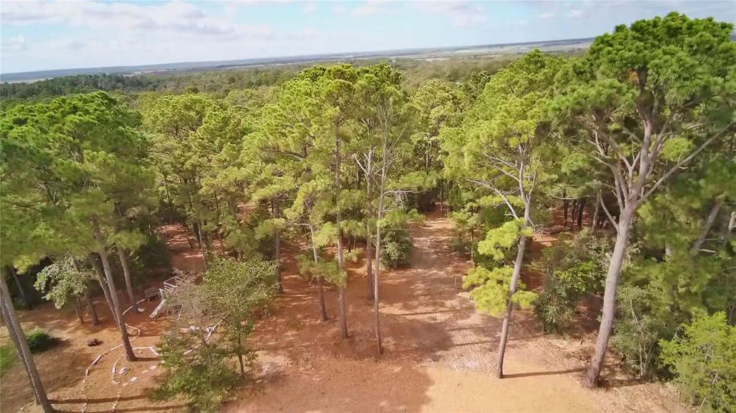 Bird's eye view of a heavily wooded area