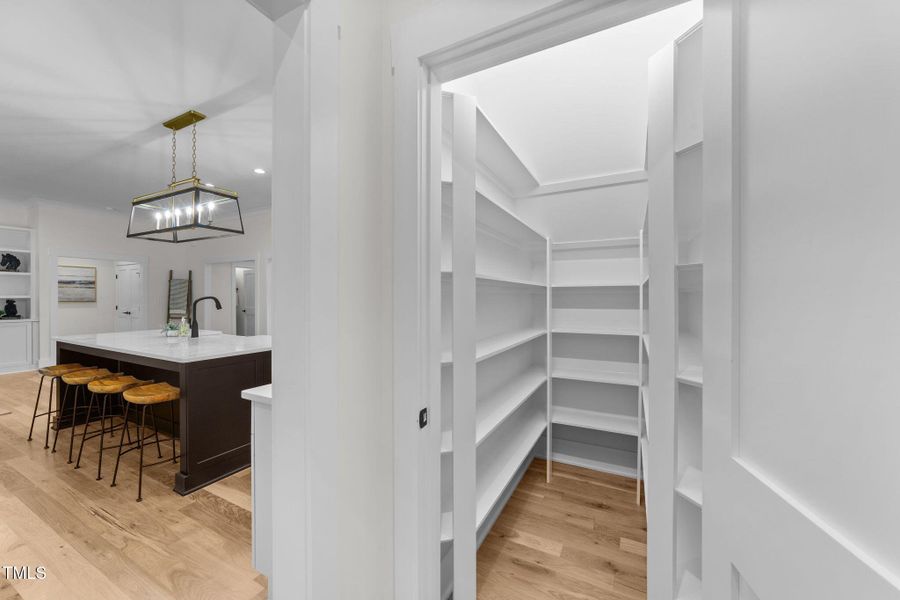 50-web-or-mls-VB4A8881