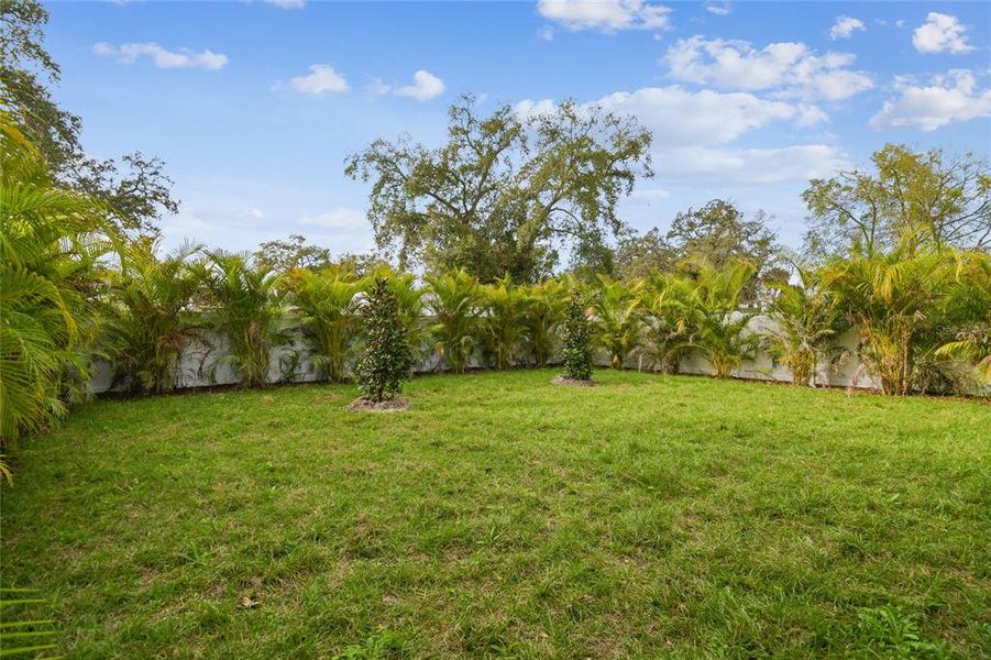 Natural landscape and outdoor views near  in Tampa (Image 37).