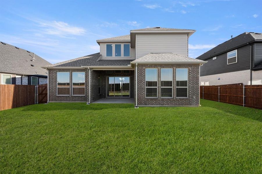 1202 Flock- Back-2 1202 Flock- Back-2