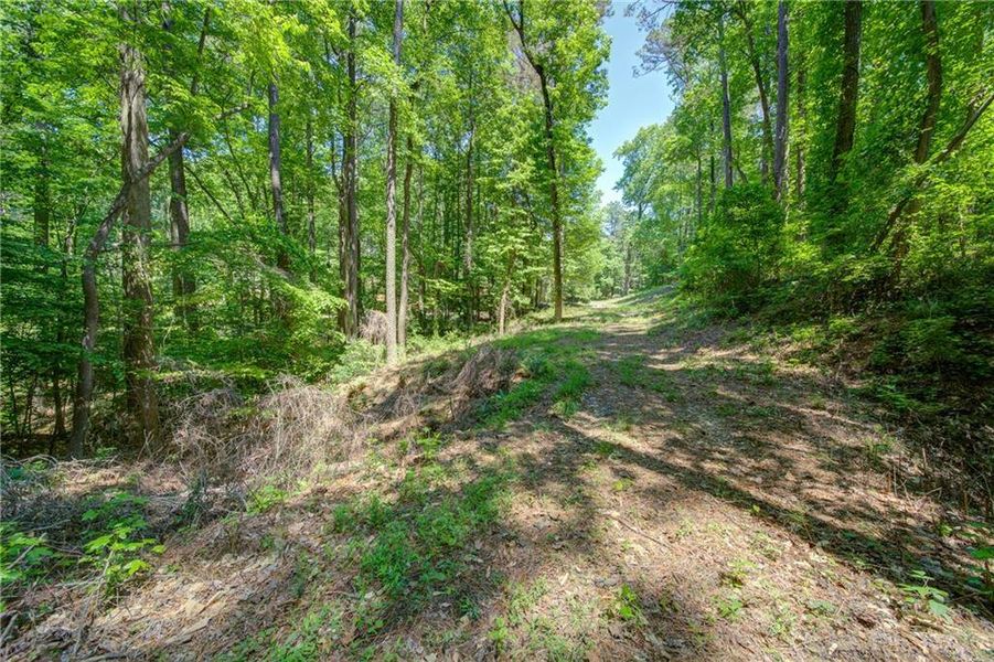 Natural landscape and outdoor views near in Alpharetta (Image 11). Natural landscape and outdoor views near in Alpharetta (Image 11).