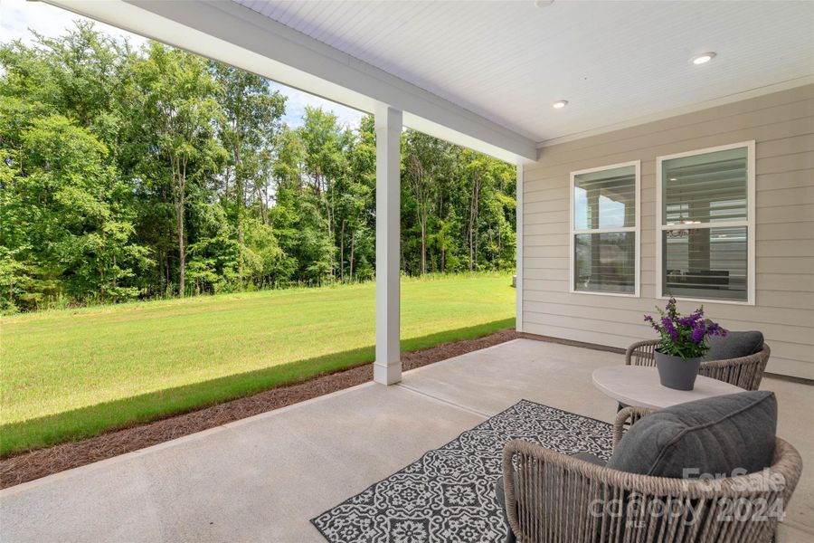 Private Wooded Backyard