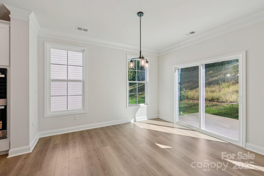 Spacious, unfurnished interior of a new home in Falls Cove, Troutman (Image 32).