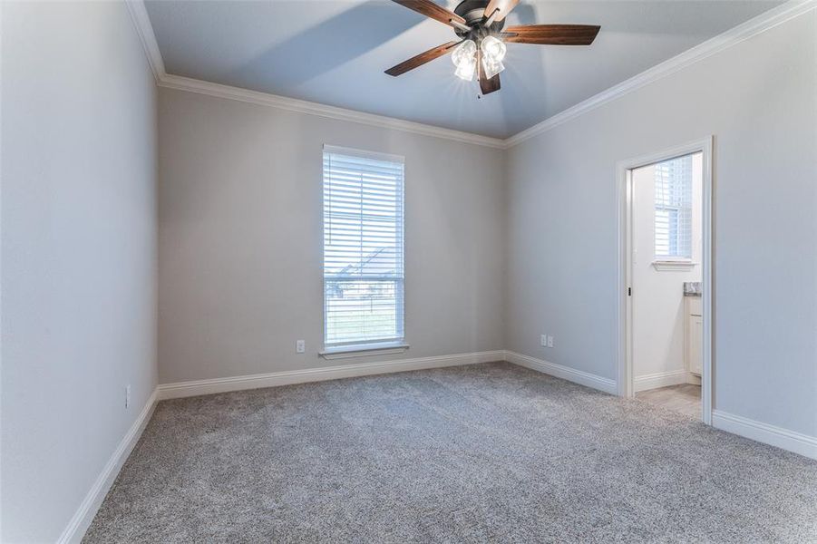 Carpeted empty room featuring plenty of natural light, crown molding, and ceiling fan