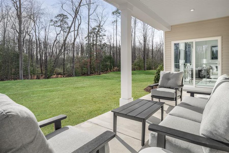 Representative exterior details of a home built from the Palladio Ranch by Ryan Homes in Albemarle, Hertford (Image 3).