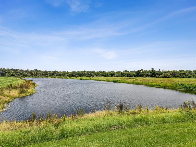 Natural landscape and outdoor views near  in Parrish (Image 42).