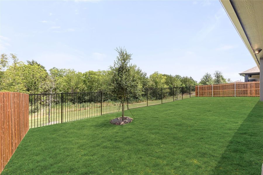 Backyard with green lawn, single young tree, wood privacy fence, and black metal railing overlooking wooded area. Backyard with green lawn, single young tree, wood privacy fence, and black metal railing overlooking wooded area.