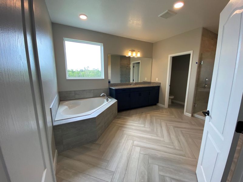 Owner's Bathroom
