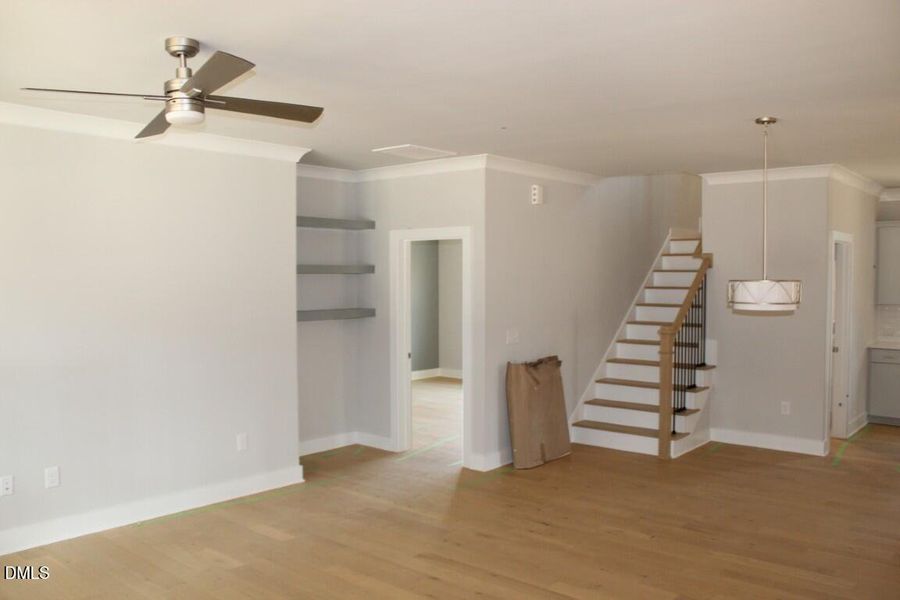 IMG_7434 (Medium) IMG_7434 (Medium)