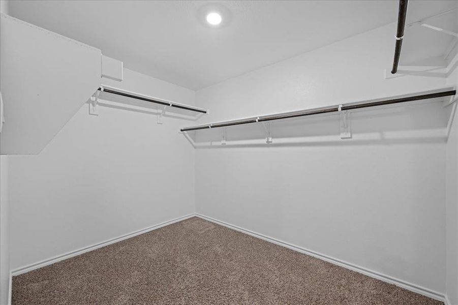 Walk in closet featuring carpet flooring Walk in closet featuring carpet flooring