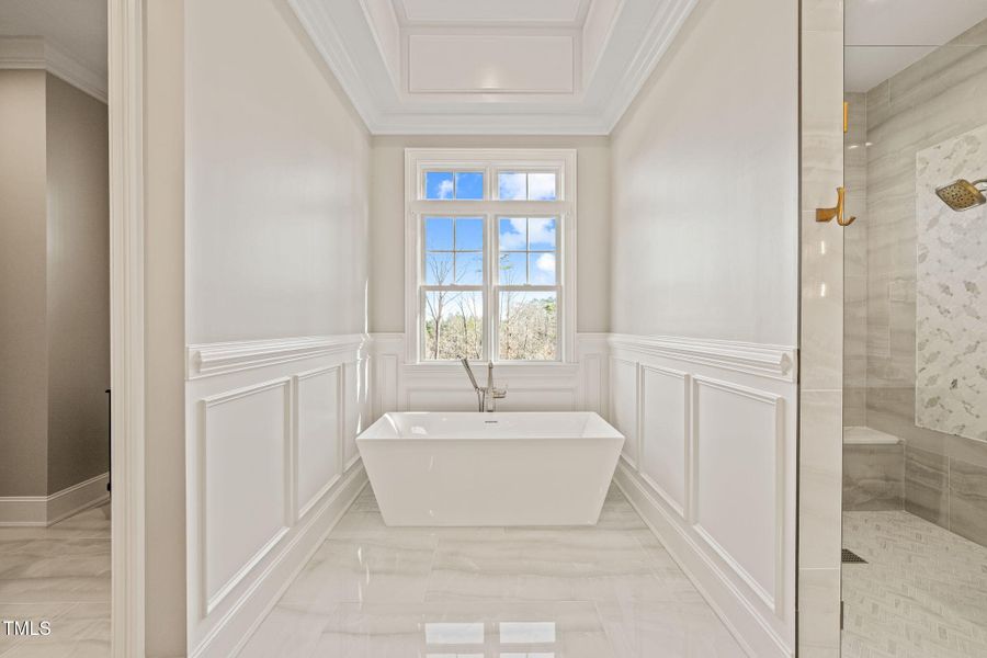 33-web-or-mls-DSC08238