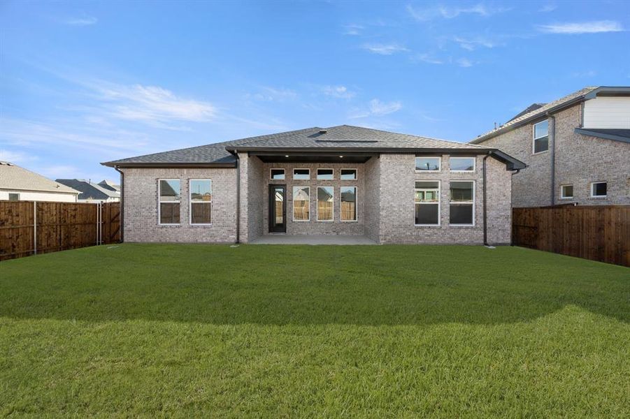 613 Bunchberry- Back-2