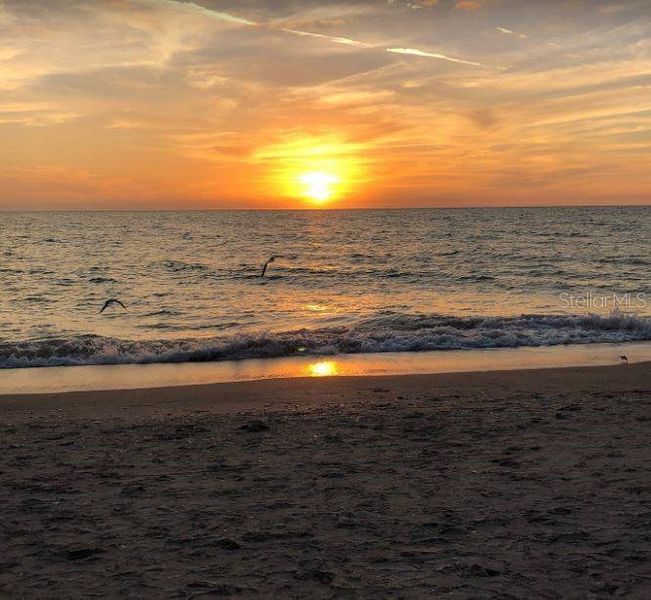 Natural landscape and outdoor views near  in Port Charlotte (Image 54).