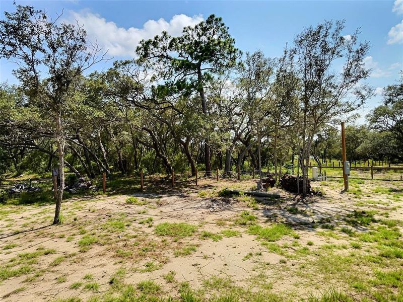 Natural landscape and outdoor views near  in Hudson (Image 27).