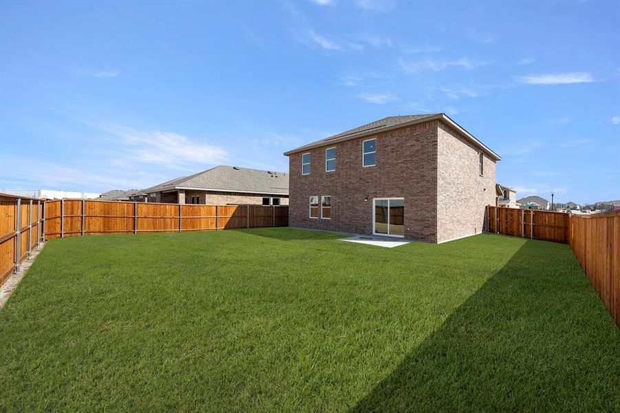 27. 1282 Herring - Back (2)