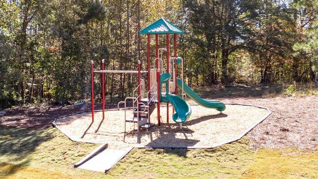 Community amenities in Twin Lakes, Hoschton (Image 35).