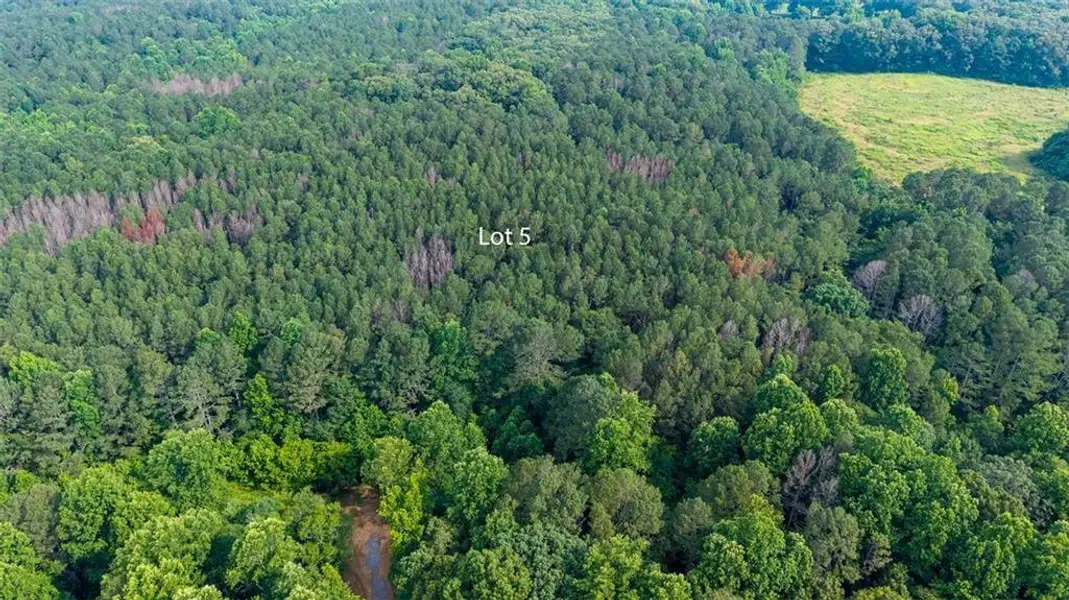 Natural landscape and outdoor views near  in Talking Rock (Image 11).