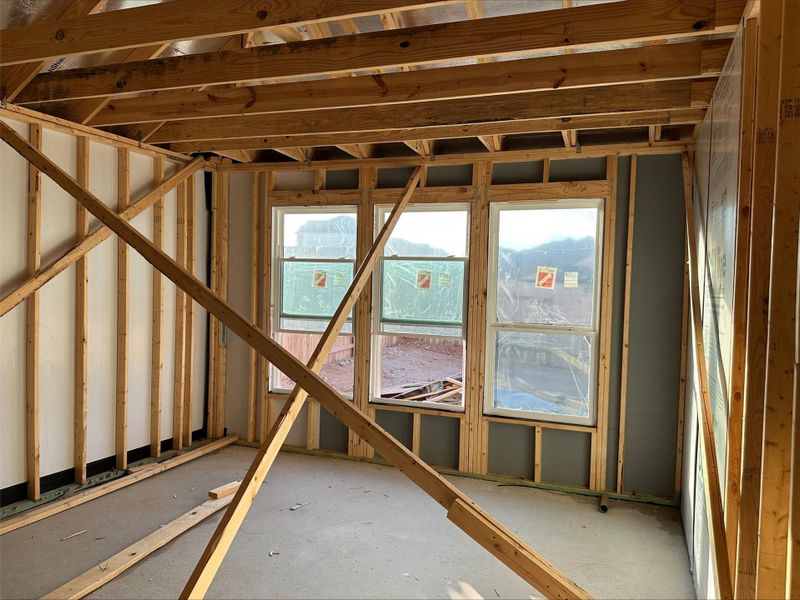 125 Basketflower Lane ~ Under Construction