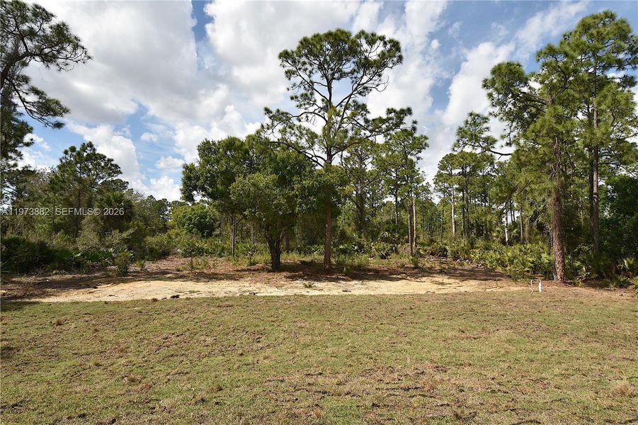 Natural landscape and outdoor views near  in Lehigh Acres (Image 25).