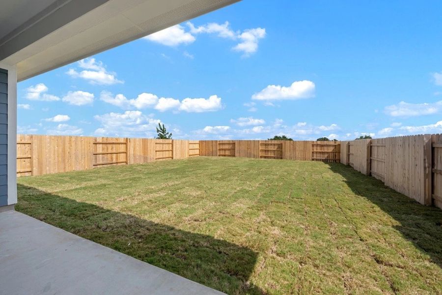 Backyard Backyard