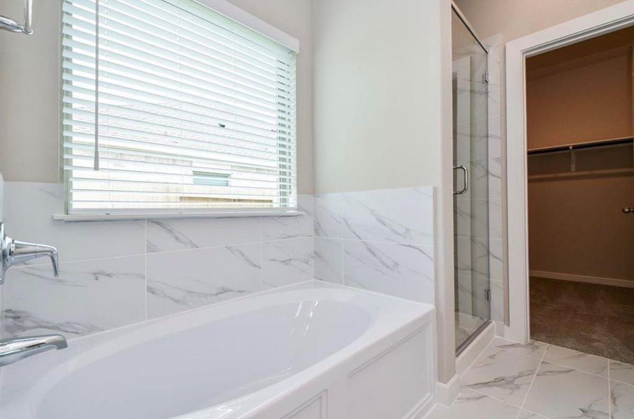 Tub and shower master bath