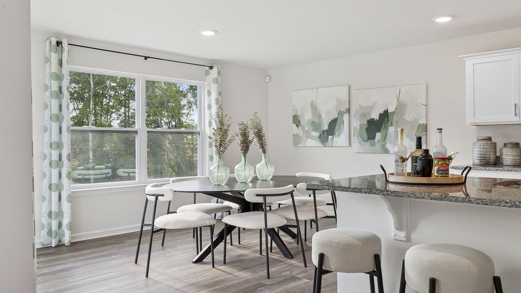 Furnished interior view inside a new home in Cedar Gap, Fountain Inn (Image 16).