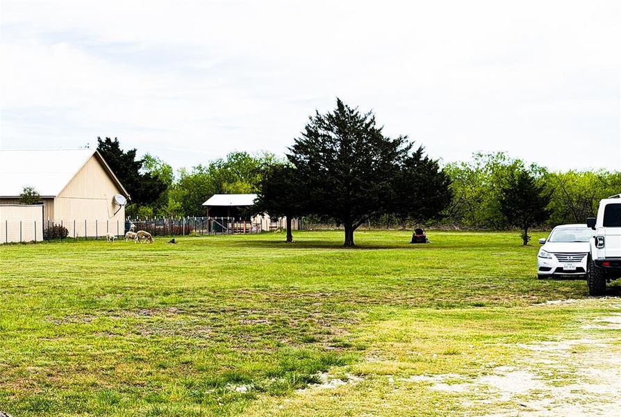 Natural landscape and outdoor views near  in Wortham (Image 26).