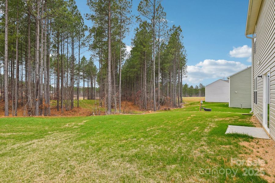 Exterior details and patio area of a home in The Pines at Stoney Point, Lexington (Image 13). Exterior details and patio area of a home in The Pines at Stoney Point, Lexington (Image 13).