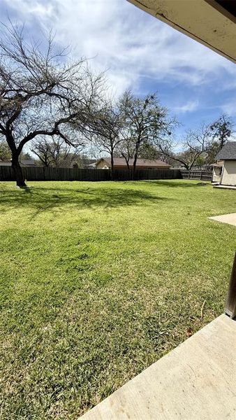 privacy fenced backyard privacy fenced backyard