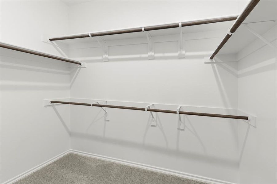 24. 3732 Honey Daisy - Closet