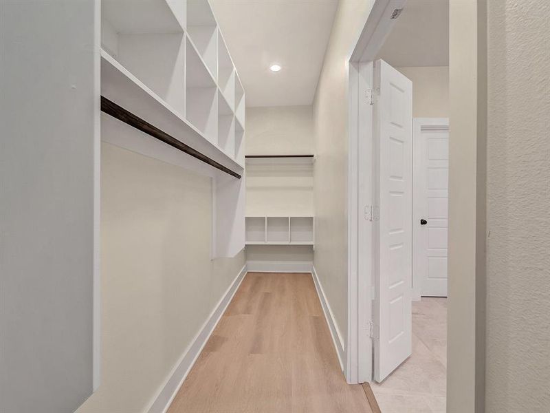 Walk in closet featuring light hardwood / wood-style flooring