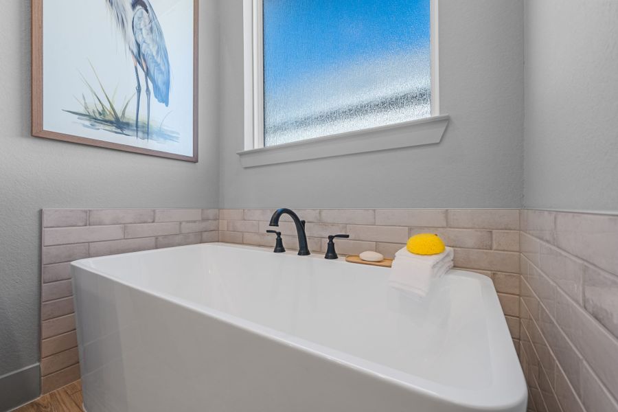 Image 46 representing the Hampton by Chesmar Homes in Santa Rita Ranch, Liberty Hill, TX.